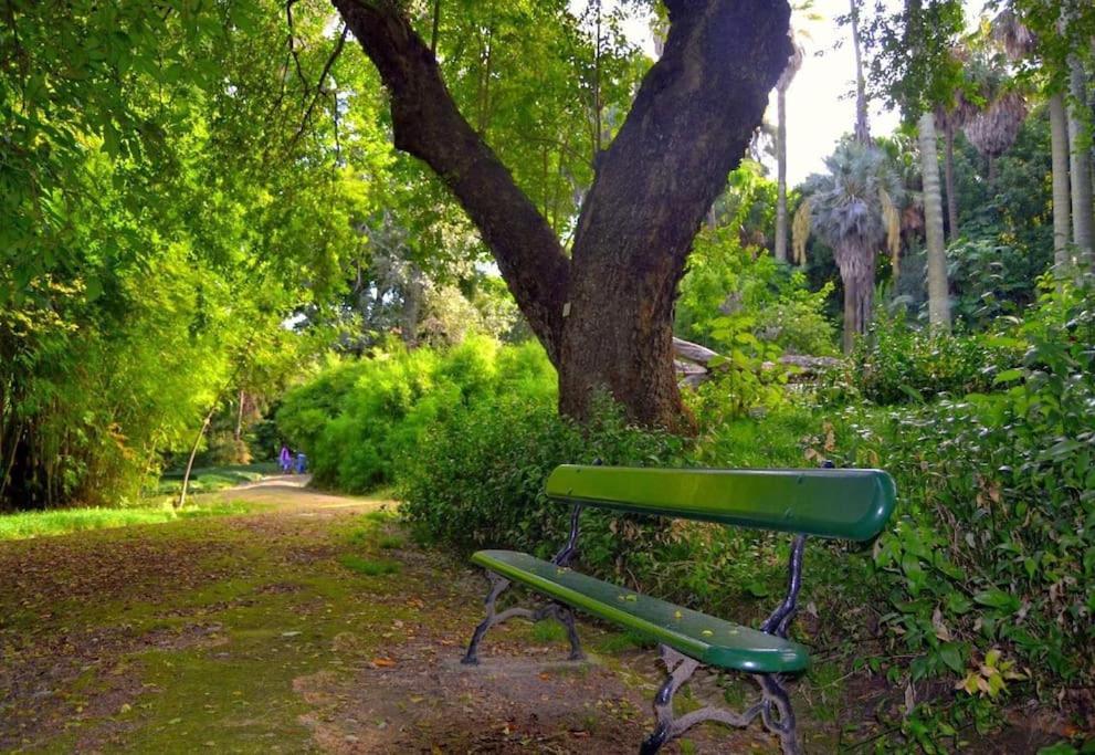 Dpj Romantic Jardim - Lift! - Pr.real/bairro Alto! * Lissabon
